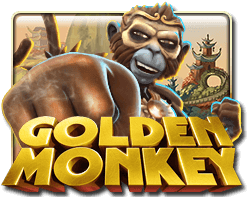 GOLDEN MONKEY