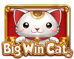 BIGWIN CAT
