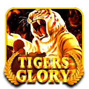 TIGER GLORY